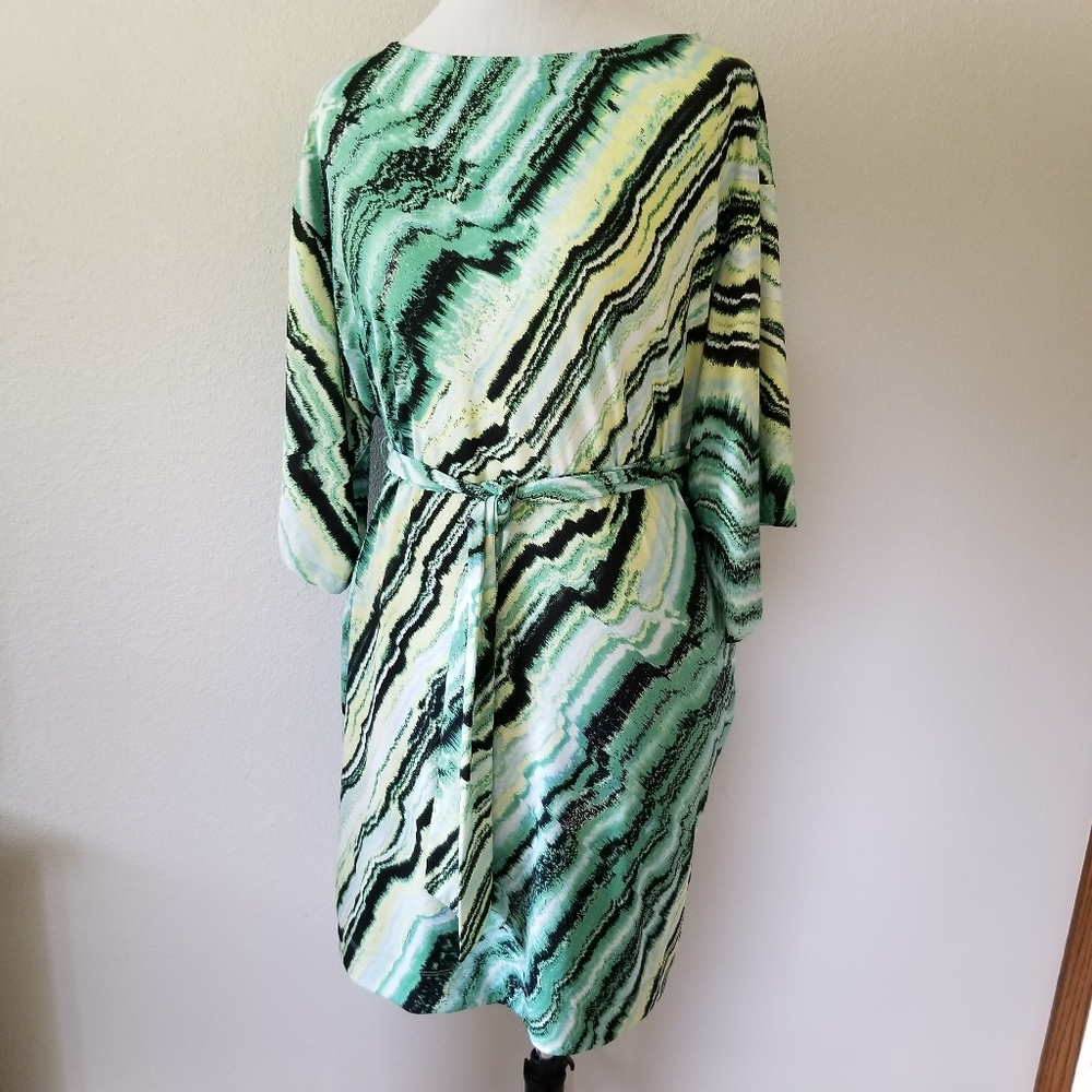 ECI New York dress w/belt